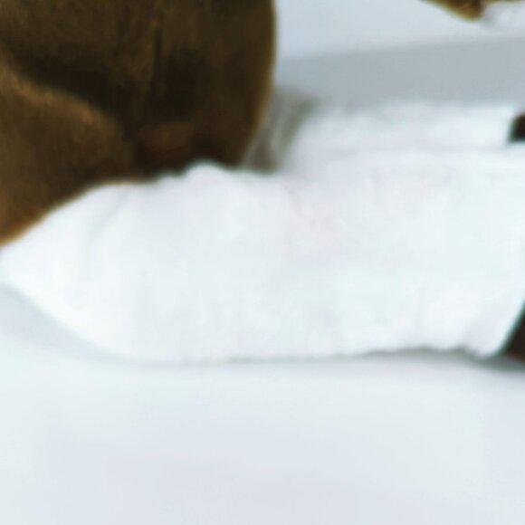 Aurora Flopsie Tola Brown Pinto Horse Plush Animal 12-Inches - Picture 5 of 5